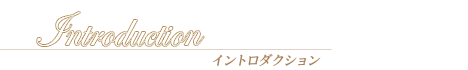 イントロダクション